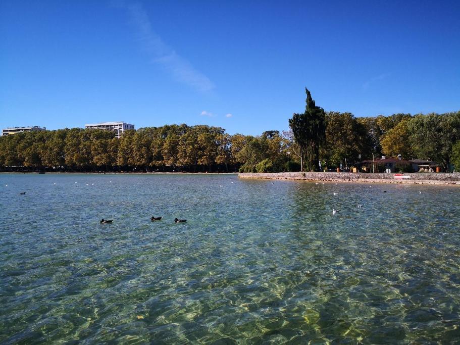 Studio Moderne, Place Parking Prive, Emplacement Ideal A 100 M Du Lac. Annecy Extérieur photo