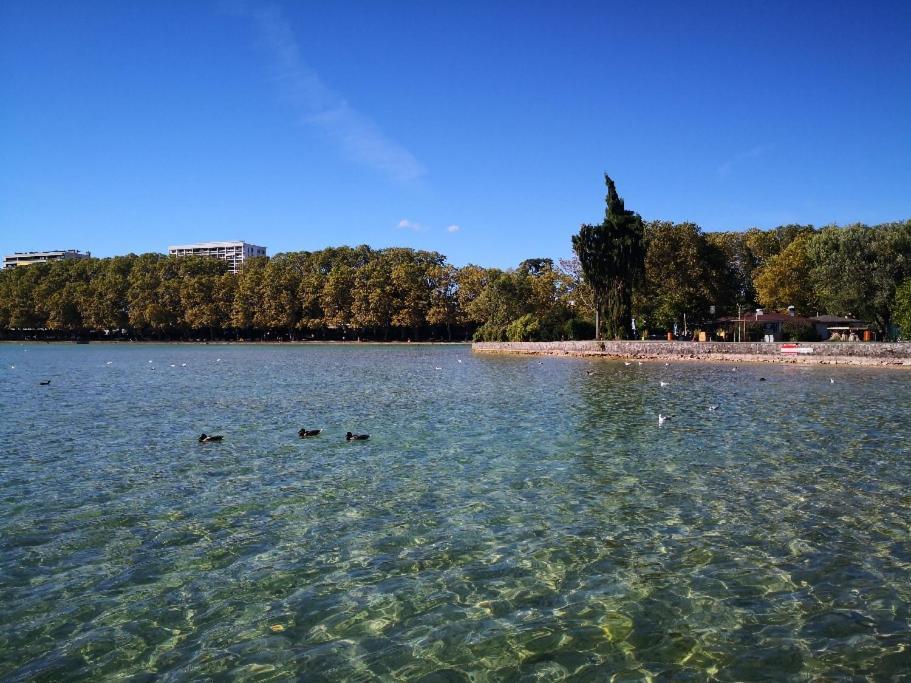 Appartement Studio Moderne, Place Parking Prive, Emplacement Ideal A 100 M Du Lac. à Annecy Extérieur photo